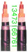 SYV-50-3鎧裝射頻電纜 解析天津市電纜總廠橡塑電纜廠的專業(yè)制造